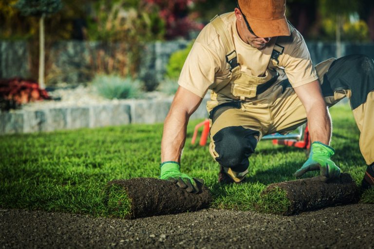 Landscaper laying fresh sod