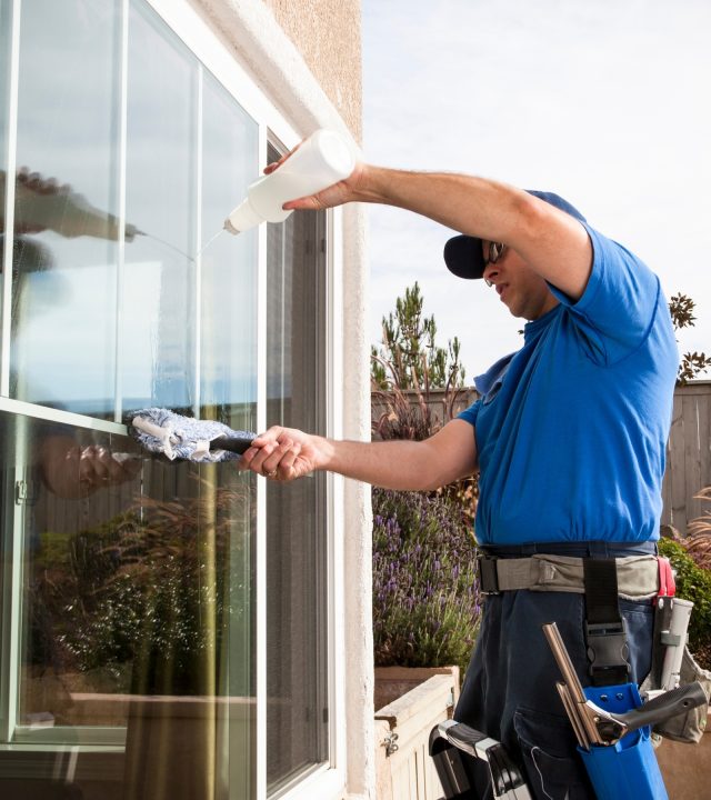 window cleaning tall 1
